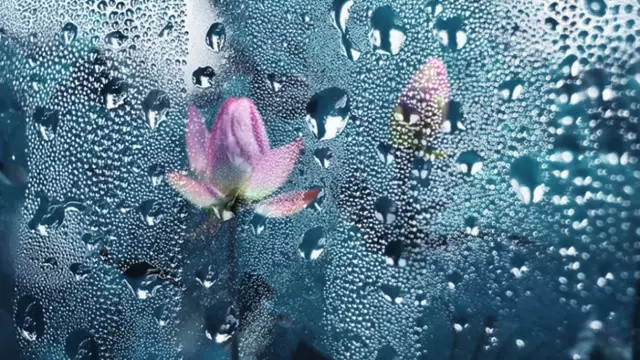 ps撕边效果教程,ps撕边效果名片制作