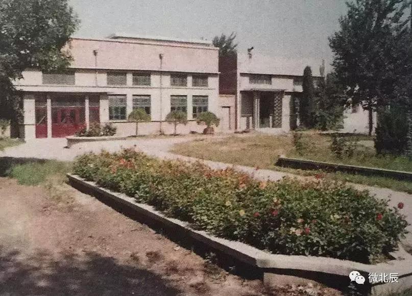 一代北辰人的记忆｜只想对你说一声再见，健康路上的老体育场