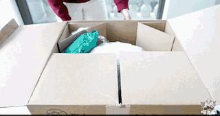 宠物猫自动喂食器推荐,宠物猫智能喂食器和智能喂水器