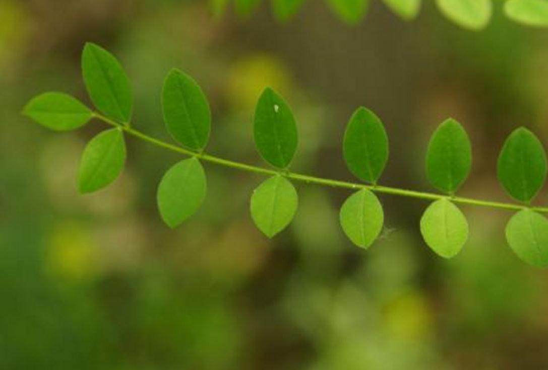 佛性知行合一是王道,佛性修养