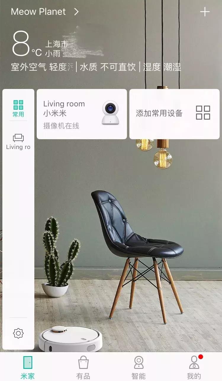 宠物猫自动喂食器推荐,宠物猫智能喂食器和智能喂水器