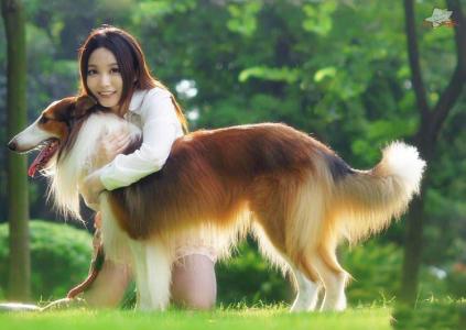 三招搞定狗狗不吃狗粮,如果狗狗不咬食物怎么办