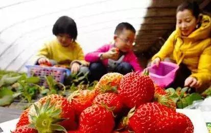 五一大连活动安排,大连活动五一