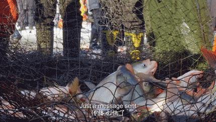 discovery科技探索,discovery发现与探索