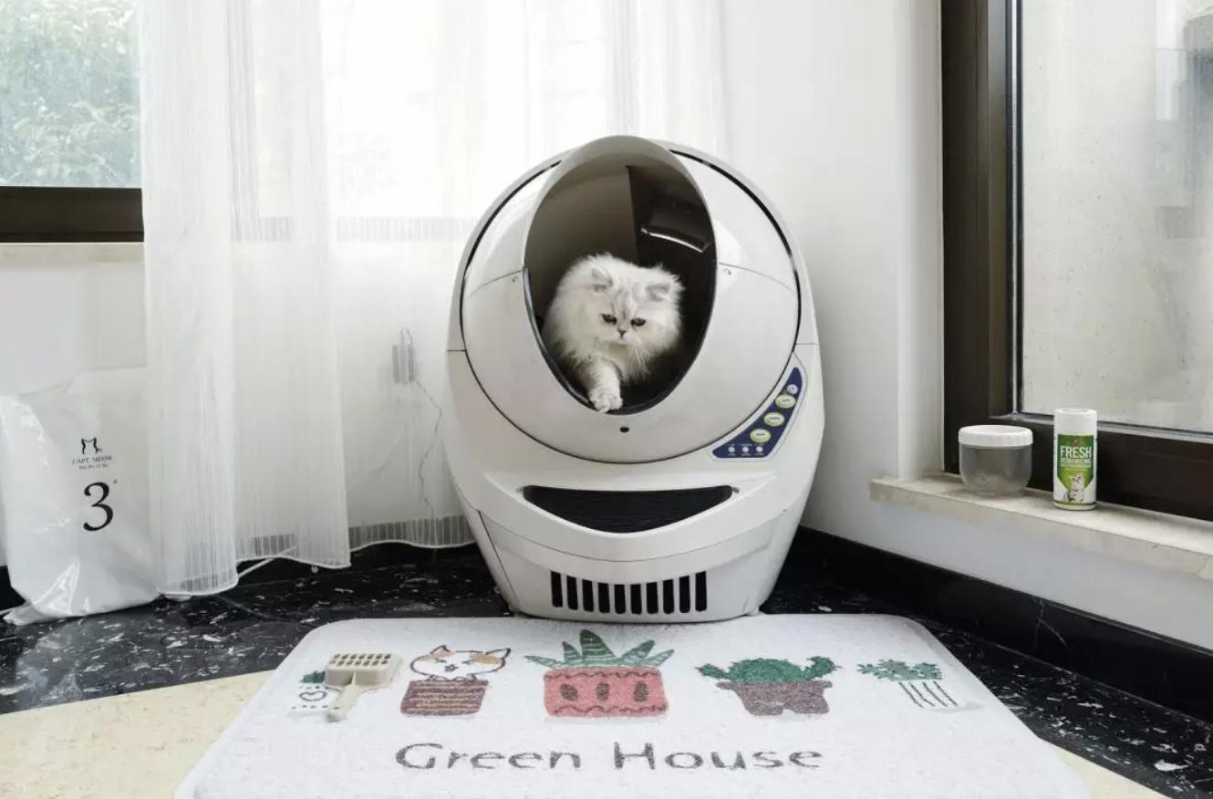 宠物猫自动喂食器推荐,宠物猫智能喂食器和智能喂水器