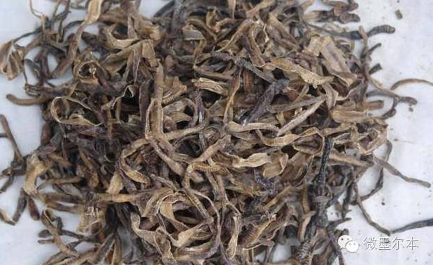 旅行不要带什么,旅行不要带太多东西