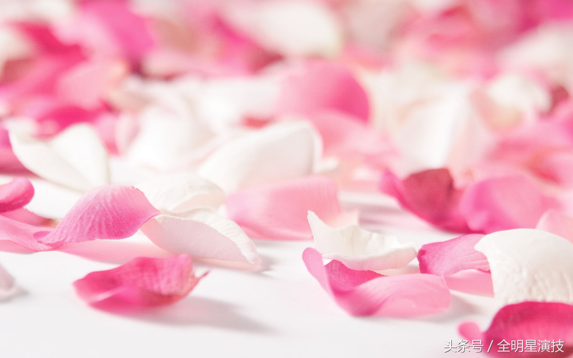 涂磊送你恋人情感经典语录总结，喜欢拿走，不谢不谢