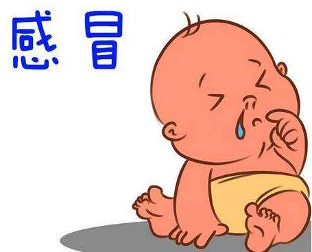 宝宝感冒了怎么办?宝宝感冒了有哪些特点?6个方法摆脱感冒!在这里