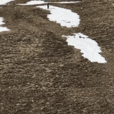 求生的意志力,冰淇淋求生秘籍