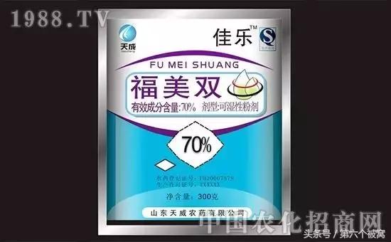 治枸杞白粉病最好的特效药,枸杞白粉病最快的治疗方法