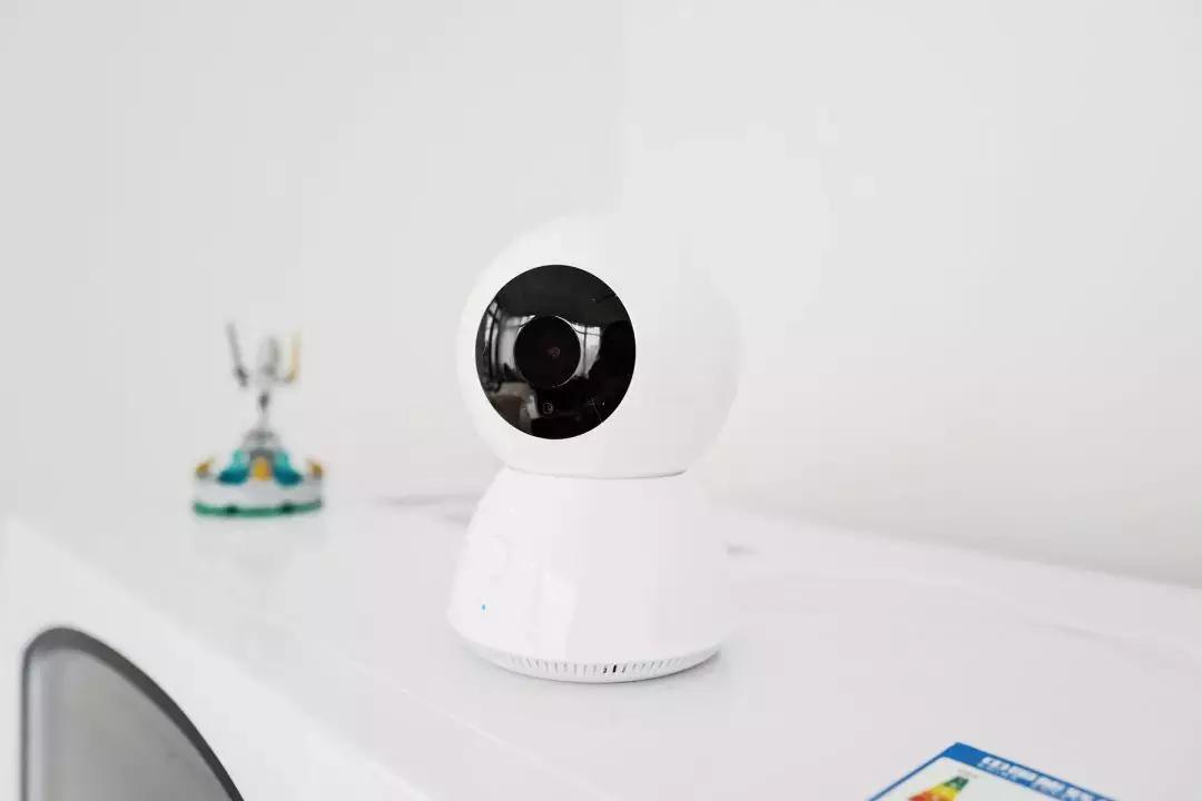 宠物猫自动喂食器推荐,宠物猫智能喂食器和智能喂水器