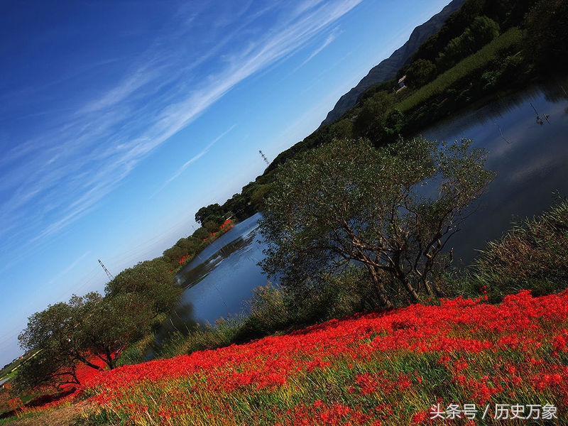 卜算子绚丽的天空 (卜算子尼罗河)