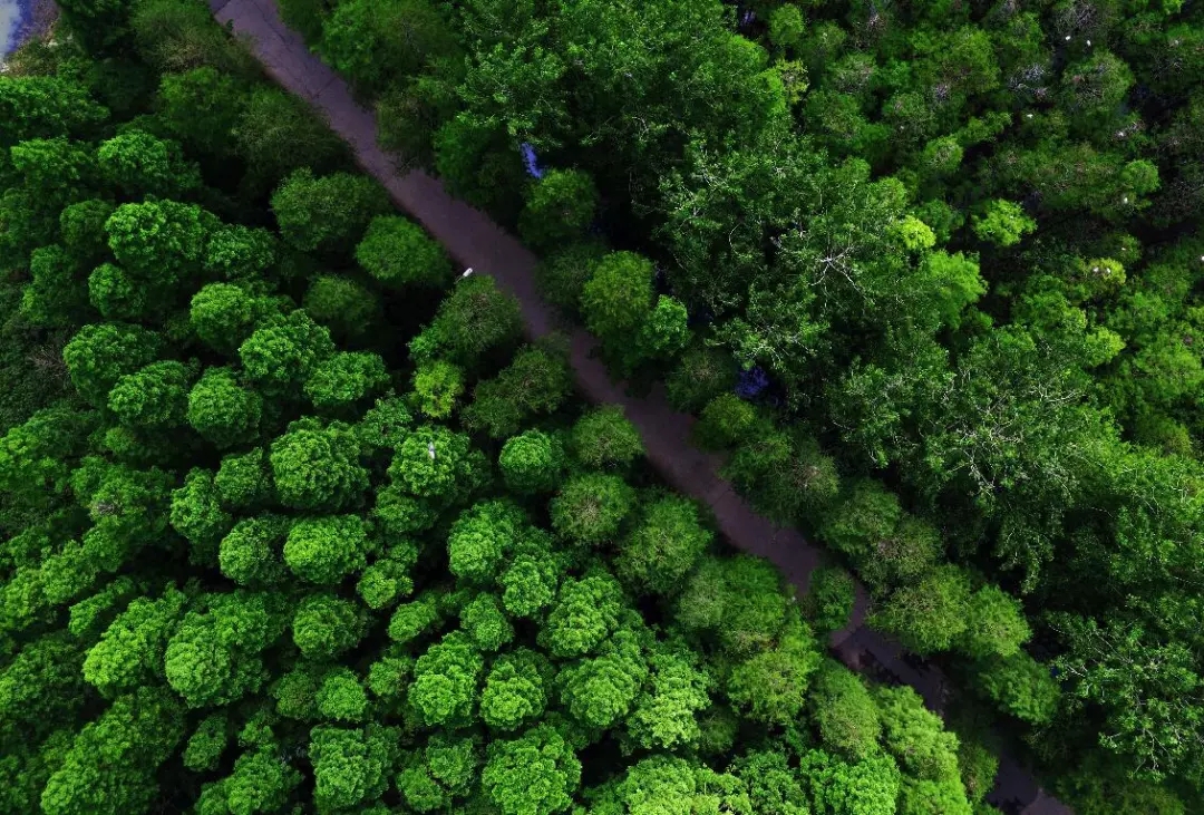 武汉人幸福感又要升级来看看家门口今年有哪些变化