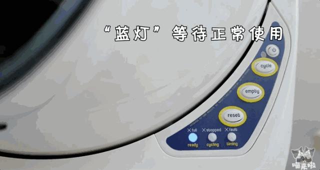 宠物猫自动喂食器推荐,宠物猫智能喂食器和智能喂水器