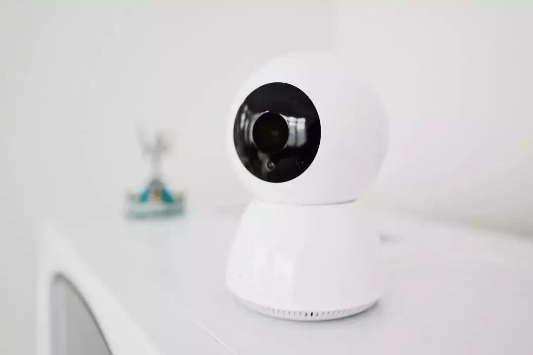 宠物猫自动喂食器推荐,宠物猫智能喂食器和智能喂水器