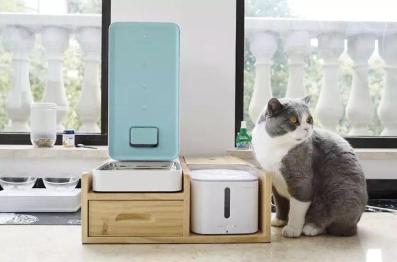 宠物猫自动喂食器推荐,宠物猫智能喂食器和智能喂水器