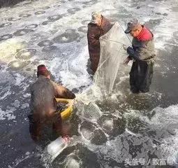 最新大棚水产养殖技术,反季节养殖技术