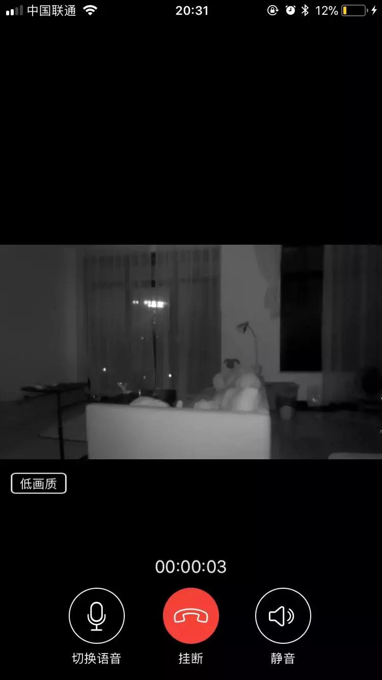 宠物猫自动喂食器推荐,宠物猫智能喂食器和智能喂水器