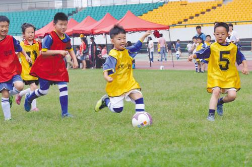 足球如何一个人顶一支队伍,足球团队配合十佳球高清