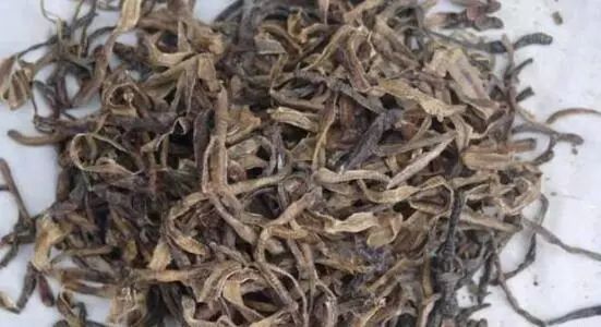 旅行不要带什么,旅行不要带太多东西