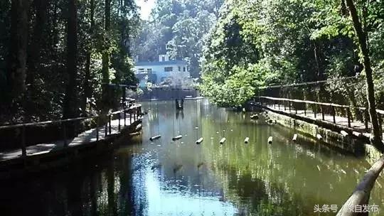 红河县活动,红河县最近乡镇活动