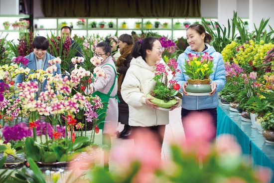 金华近期活动,金华市最新活动