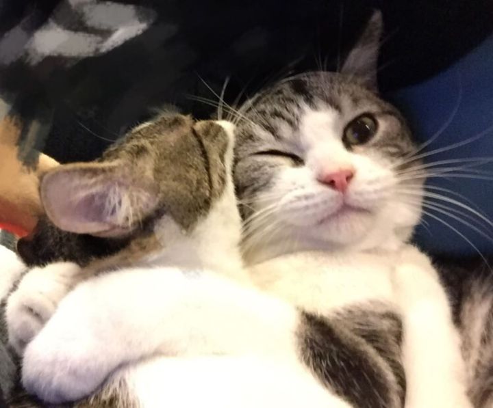 成都便宜又舒服的民宿推荐,成都民宿最好风景