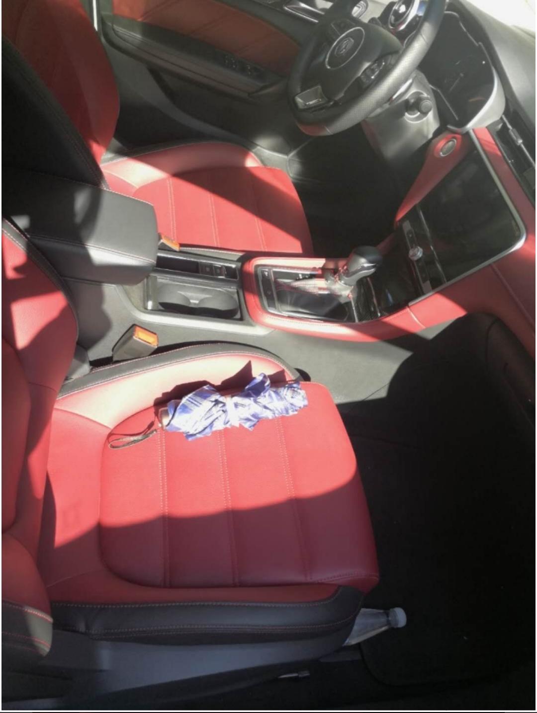 本命年的最大收获，开着新车回家过年