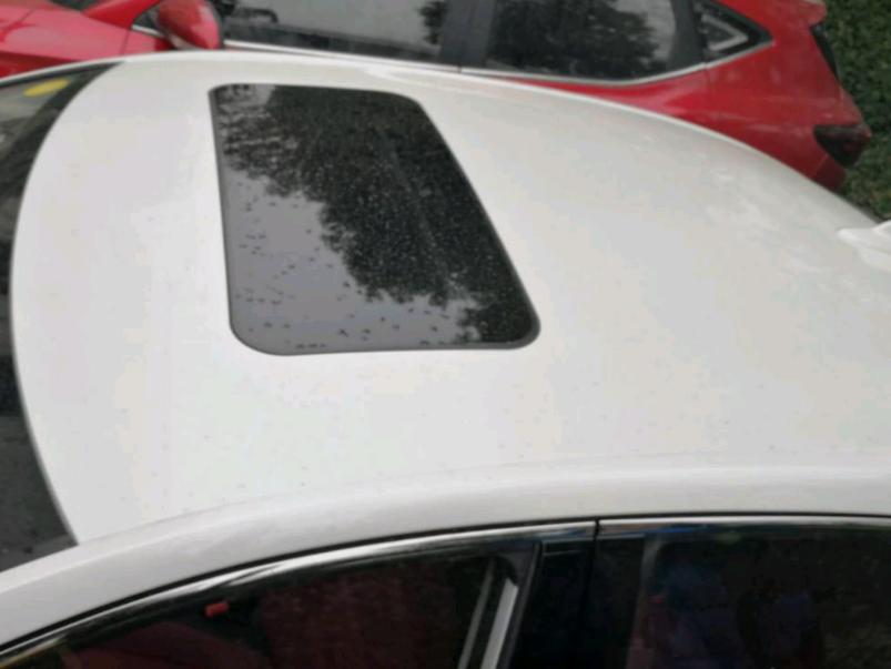 本命年的最大收获，开着新车回家过年