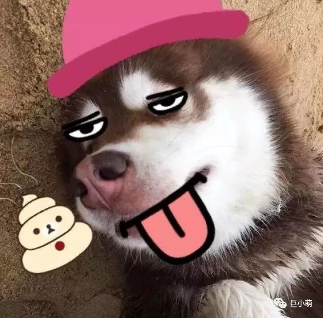 狗年大牌限定辣眼睛，思聪爸爸有钱都不想买