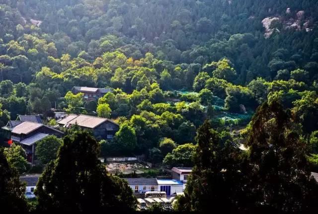 春晚四大分会场曝光，有个竟是“中国第一潜水地”！