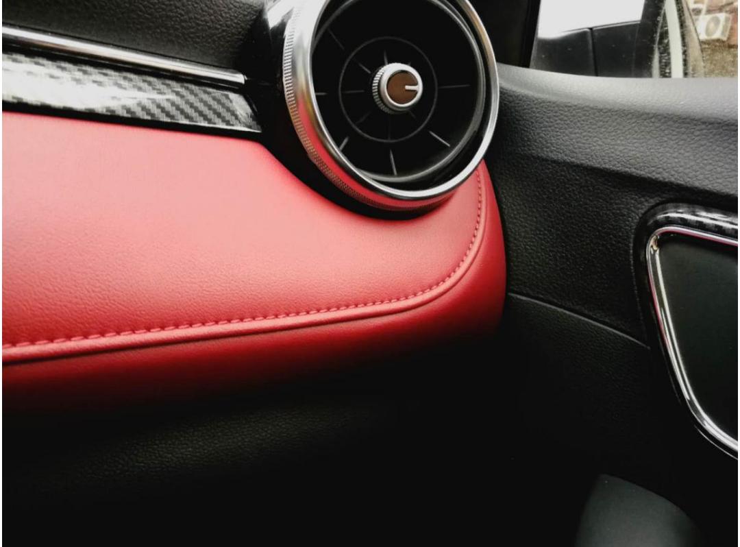 本命年的最大收获，开着新车回家过年