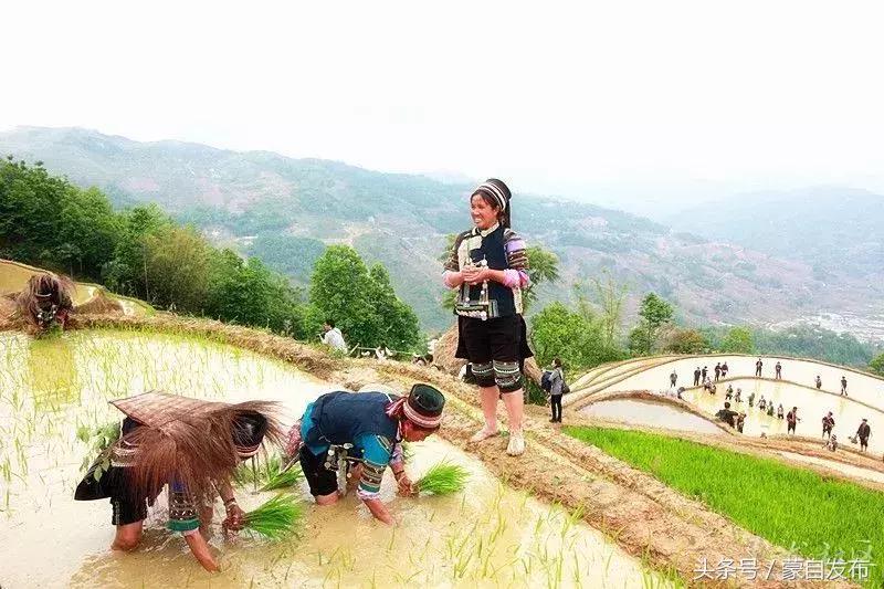 红河县活动,红河县最近乡镇活动