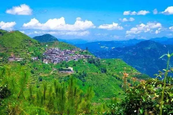 厦门岛内变化,2020厦门的变化