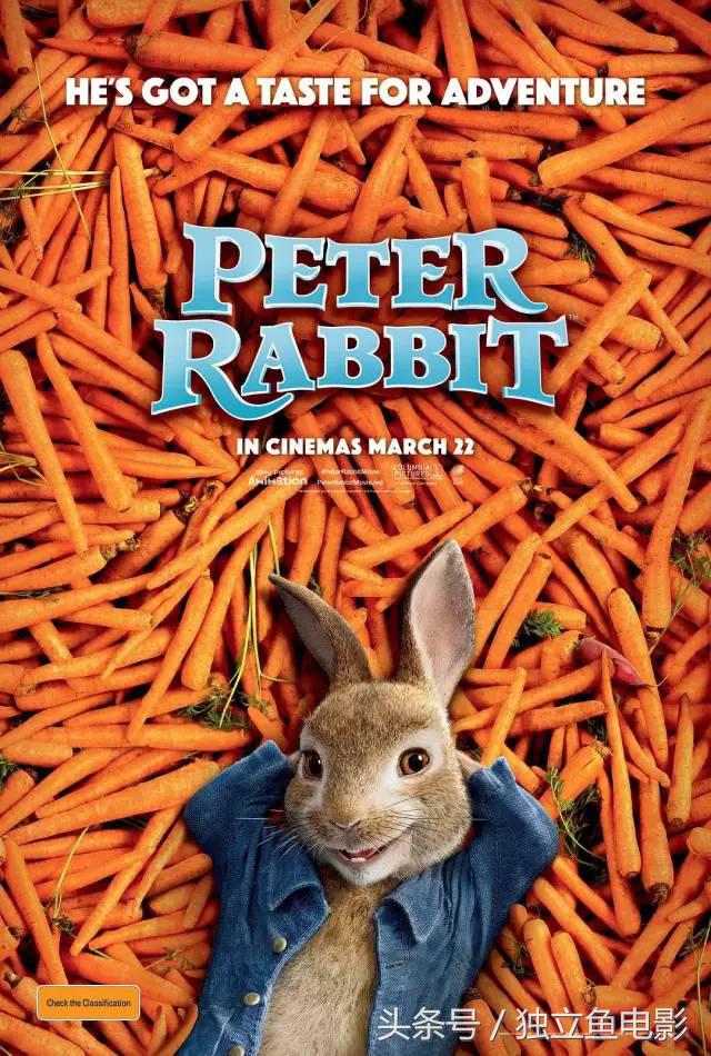 2月拍的视频,2月大片