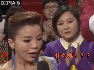 2018春晚那英王菲再度合作,春晚王菲那英节目播放了吗