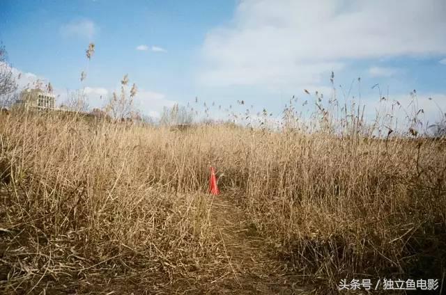 2月拍的视频,2月大片