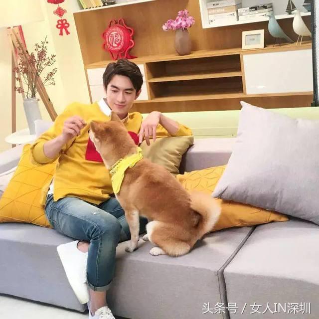 林更新生日满足粉丝愿望,林更新祝福赵丽颖生日