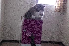 崩坏3摇晃舰桥没有反应怎么回事,崩坏3新舰桥驶向未来是限时的吗