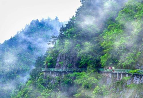 金华近期活动,金华市最新活动