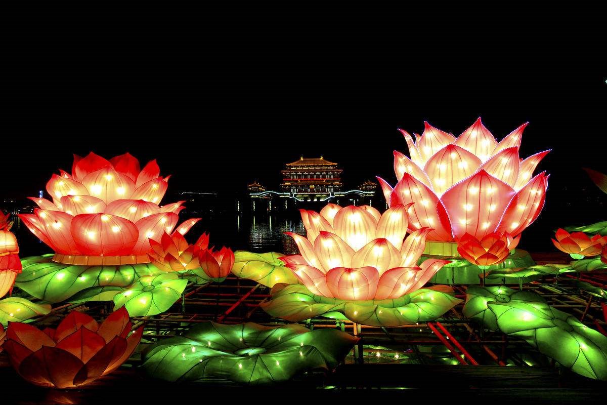 金华近期活动,金华市最新活动