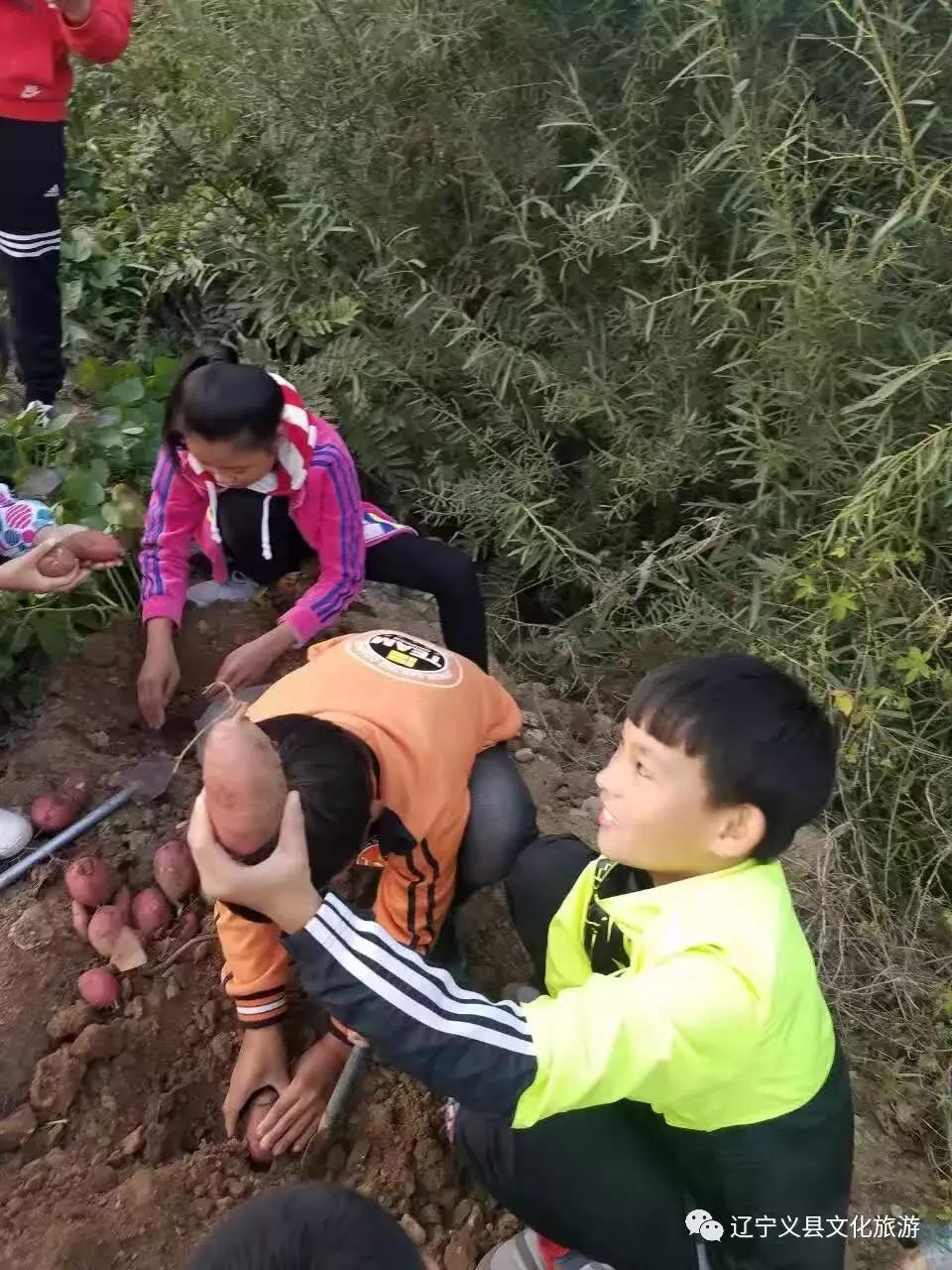 涓囦經鍫傜敓鎬佸洯浼樻儬,涓囦經鍫傜敓鎬佸洯浼樻儬鍥㈣喘