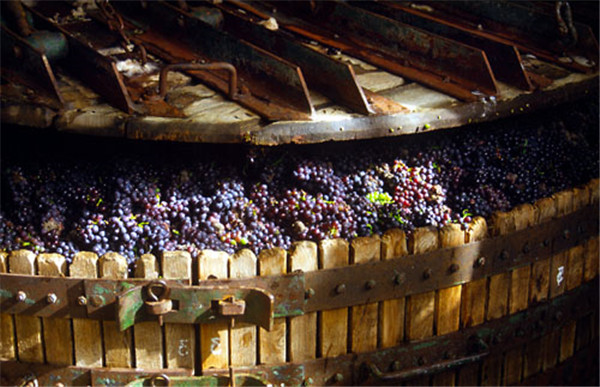 好看的玫瑰香槟图片,香槟金色美图大全