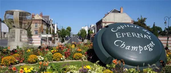 好看的玫瑰香槟图片,香槟金色美图大全