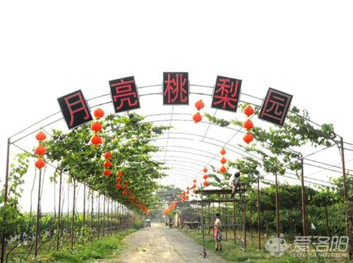 洛阳农家乐生态园排名,洛阳近郊农家乐哪家最好