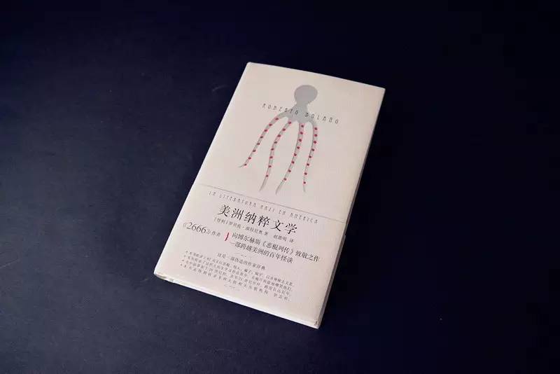 青年节特辑|一生放荡不羁爱自由：波拉尼奥