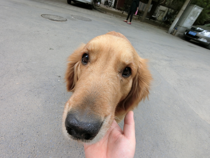 卡西欧exfr100摄像头,卡西欧fr100和fr100l的区别