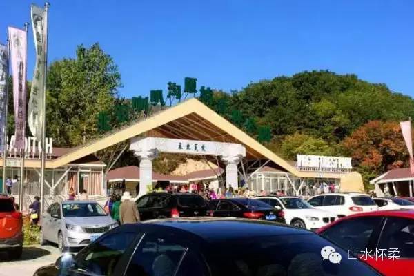 与花相约完整版,与花相约