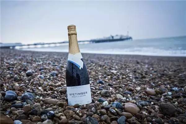 好看的玫瑰香槟图片,香槟金色美图大全