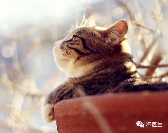 糖尿病患者糖足挂什么科室,糖尿病医生建议吃什么药